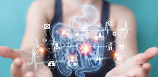 Microbiote intestinal, flore intestinale 123RF ©
