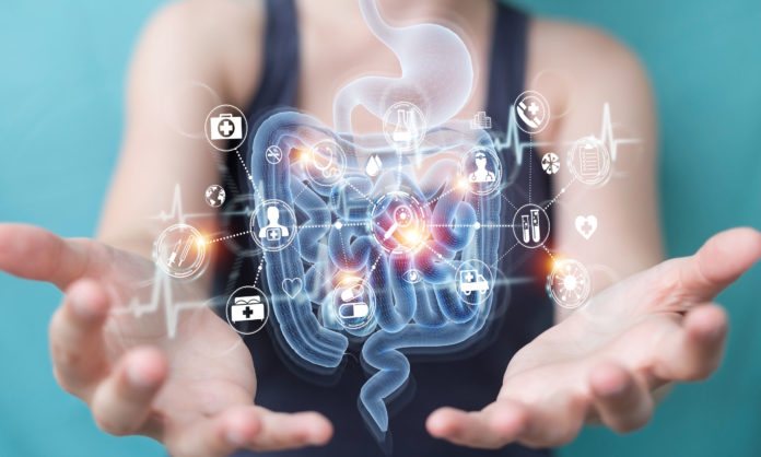 Microbiote intestinal, flore intestinale 123RF ©