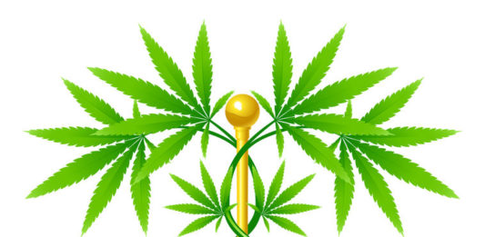 Cannabis thérapeutique 123 RF©