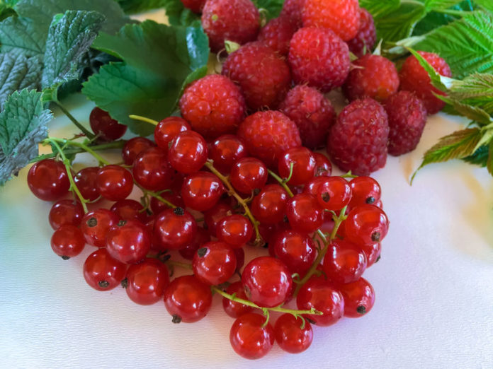 Fruits d'été 123RF©