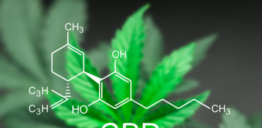 Fleur de chanvre et formule chimique du CBD