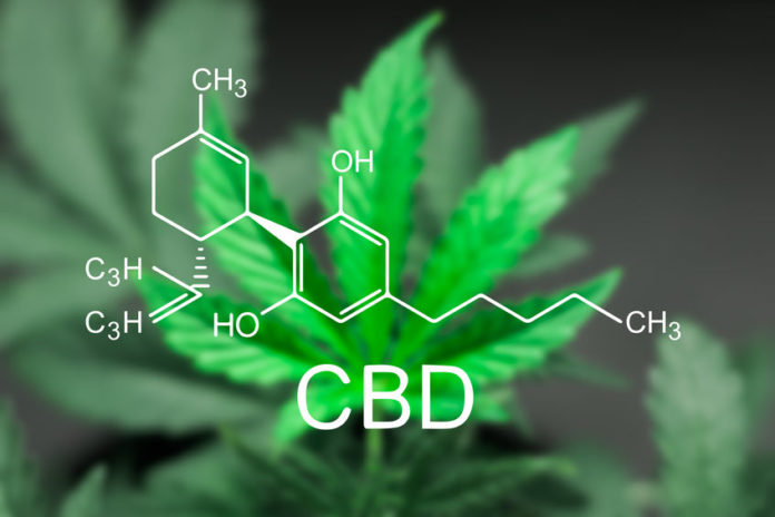 Fleur de chanvre et formule chimique du CBD