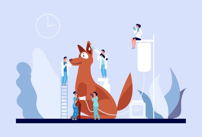 Nutrition, comportement, bonnes habitudes, tous les aspects de la vie quotidienne des chiens et des chats peuvent être abordés avec votre vétérinaire. © 123RF