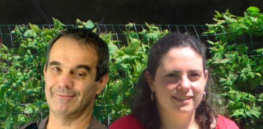 Olivier Foucaut, administrateur de Mutuelle Entrain, et le docteur Laurène Millet-Malingrey, administratrice de l’AMLP. Montage photo ©DR