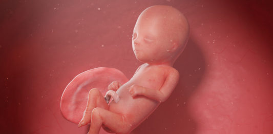 L'Inserm vient de préciser les risques pour le fœtus de d’exposition à la pollution de l’air durant la grossesse © 123 RF